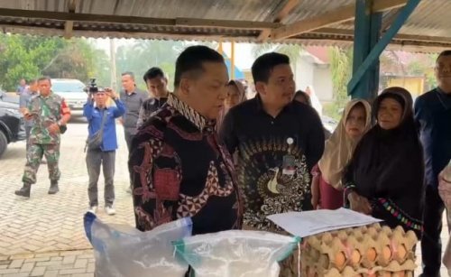 Plt Gubri, SF Hariyanto bersama Dirut RPB, Ade Putra Daulay saat meninjau pasar murah di Pekanbaru beberapa waktu lalu (foto/ist)